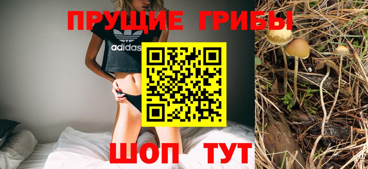 Строитель  Галлюциногенные грибы мицелий  Вход с VPN 